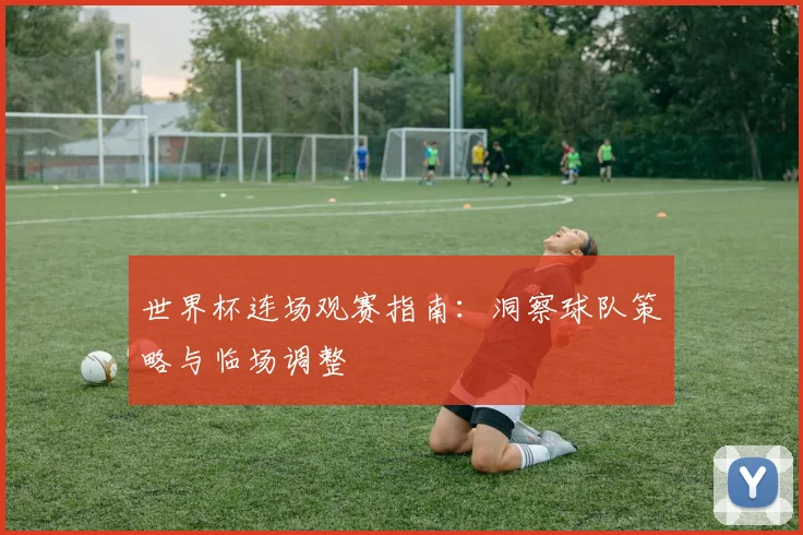世界杯连场观赛指南：洞察球队策略与临场调整