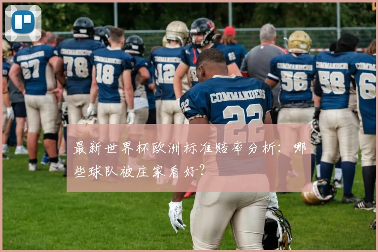 最新世界杯欧洲标准赔率分析：哪些球队被庄家看好？