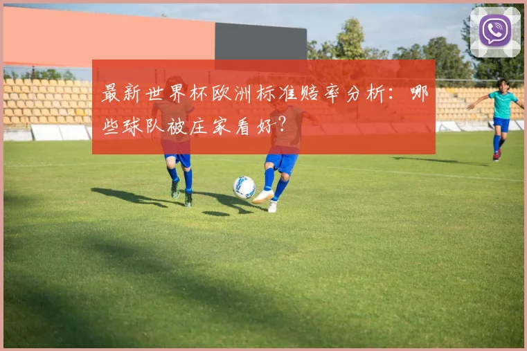 最新世界杯欧洲标准赔率分析：哪些球队被庄家看好？